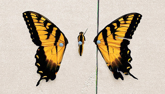 Paramore Brand New Eyes Stickers for Sale