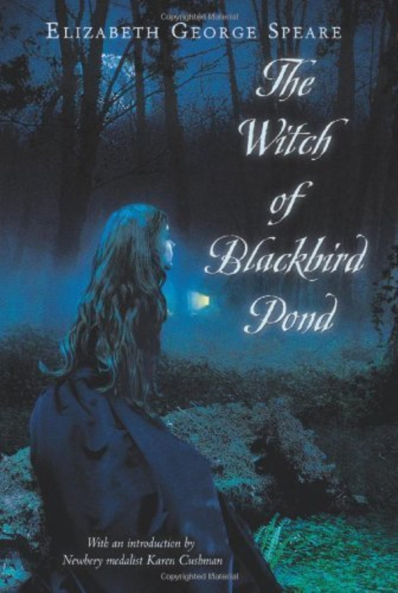 The Witch of Blackbird Pond - Plugged In